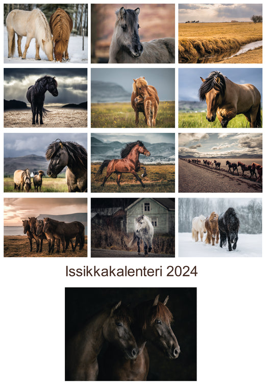 ICELANDIC HORSE CALENDAR 2024